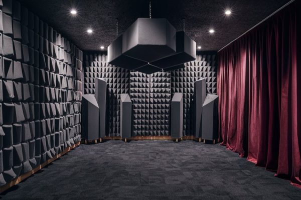 reducing noise for karaoke